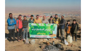  پویش نهال کوهساران سبز در شهرستان بهار