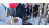  کاشت نهال در مدرسه چهره دوست شیرین سو کبودراهنگ به مناسبت دهه فجر