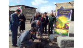 پویش درختکاری به مناسبت نیمه شعبان و دهه مبارک فجر در روستای محمودآباد ملایر