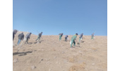 احیای ۵۰ هکتار از مراتع روستای باباعلی با اجرای عملیات بیولوژیکی کپه کاری