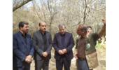 بازدید استاندار همدان از مجتمع گردشگری پارک جنگلی  سراب فارسبان