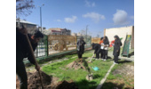 کاشت نهال امید در محل کانون پرورش فکری کودکان و نوجوانان شهرستان اسدآباد