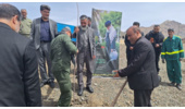 درختکاری فرماندار ویژه ملایر در روز طبیعت