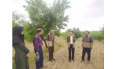 ایجاد گنجینه سبز  در شهرستان کبودرآهنگ در راستای اجرای طرح مردمی کاشت یک میلیارد درخت