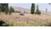 آغاز آمادهسازی عرصه کاشت در نهالستان قدس ملایر
