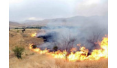 مهار آتشسوزی مراتع روستای قلیآباد کبودرآهنگ با مشارکت همیاران طبیعت و نیروهای منابع طبیعی