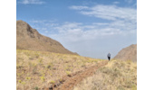 بررسی میدانی تصرف احتمالی اراضی ملی در روستای سلطان‌آباد ملایر