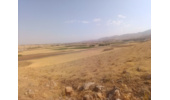 گشت و بازدید از اراضی ملی روستای چارق اسدآباد در راستای مقابله با تخریب و تصرف