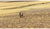 پایش و بازدید از اراضی ملی روستای خورونده با هدف پیشگیری از تخلفات