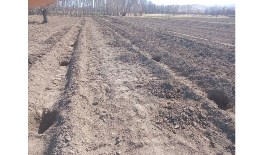 آماده سازی عرصه کاشت نهال با مشارکت دهیار و اهالی روستای دهنو سفلی نهاوند