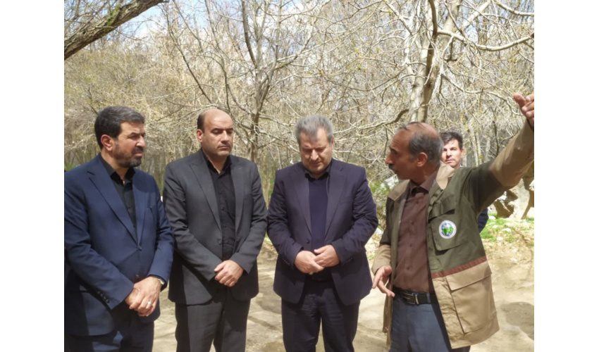 بازدید استاندار همدان از مجتمع گردشگری پارک جنگلی  سراب فارسبان
