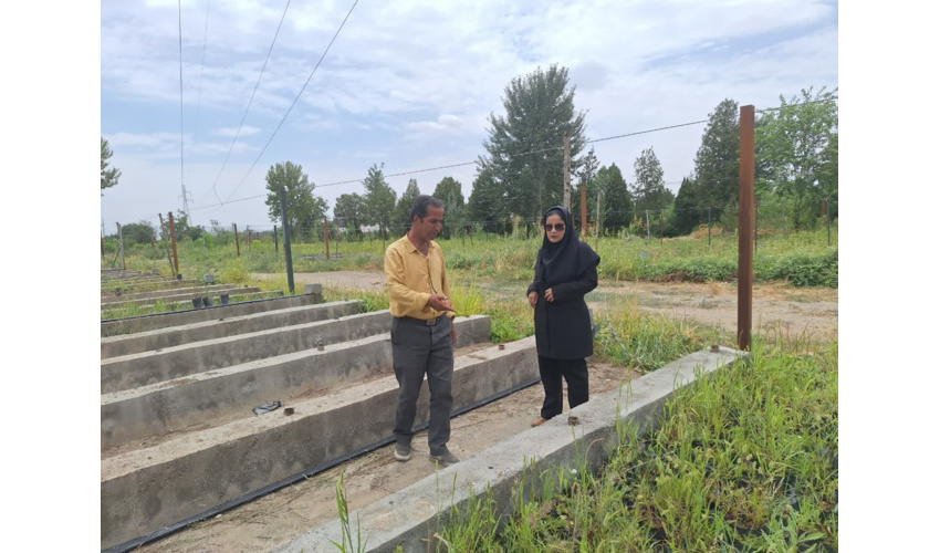 کارشناسان منابع طبیعی ملایر از نهالستان قدس بازدید کردند