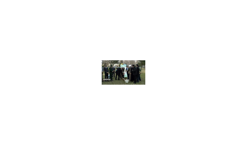 کاشت درخت یک امر مقدس وبا صواب است