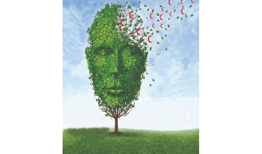 طرح کاروان نیکوکاری در 10 شهرستان استان همدان اجرا شد.