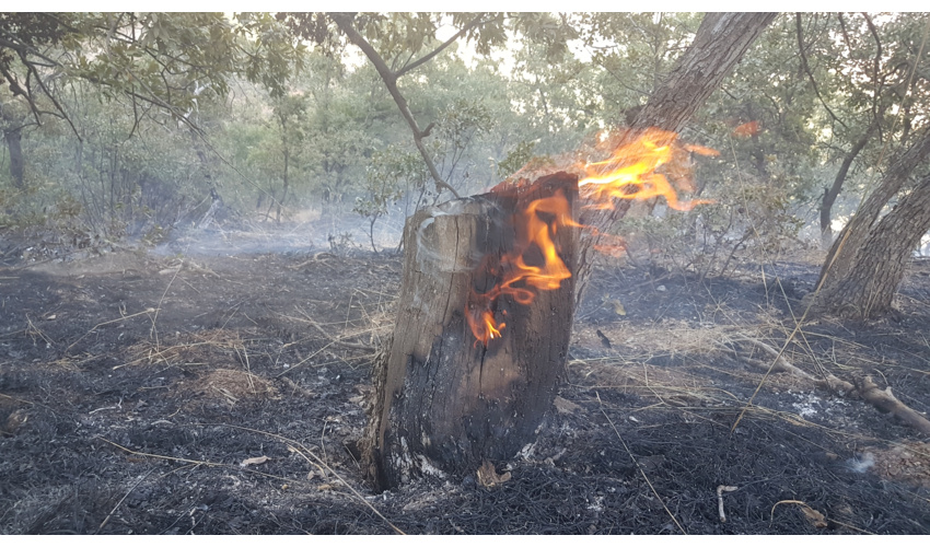 برگزاری جلسه  هم اندیشی وهمکاری با سر دبیر و خبرنگاران هفته نامه همدان نامه 