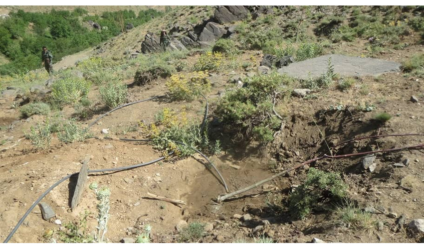 قلع و قمع 11000 متر مربع اعیانی احداثی به صورت تظاهر به احداث باغ 