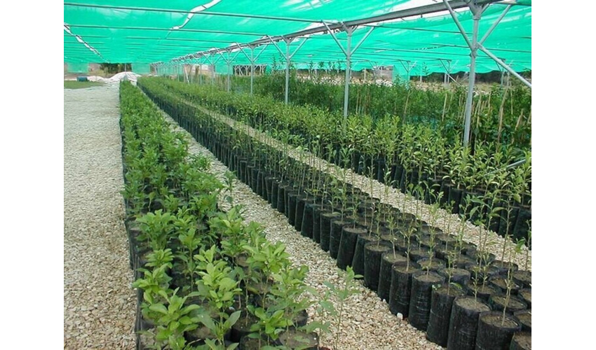  با اجرای عملیات آبخوانداری سالانه در هر هکتار 1000 متر مکعب آب بیشتری در زمین نفوذ می کند. با اجرای عملیات آبخیزداری سالانه 9 تن در هر هکتار از میزان فرسایش خاک کاسته می شود. با اجرای عملیات آبخیزداری سالانه در هر هکتار 530 مترمکعب آب بیشتری به زمین نفوذ