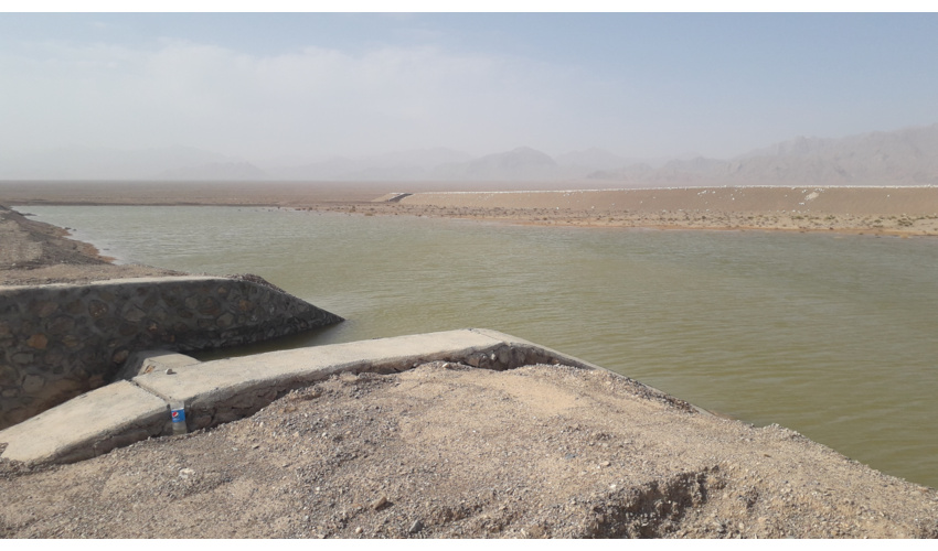 سهمیه 100 هکتاری شهرستان رزن در احداث جنگل ، رزن در اولویت اجرای طرحهای آبخیزداری 