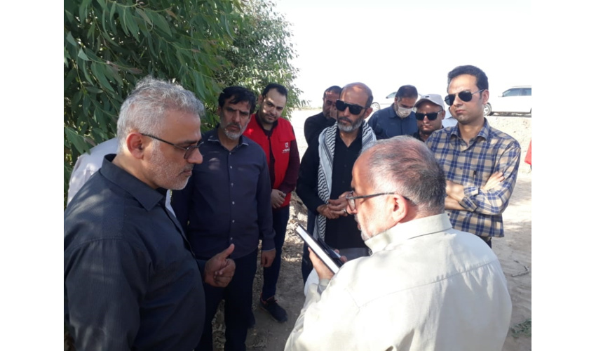 برنامه ریزی کاشت یک میلیارد نهال در کشور تا 4 سال آینده 