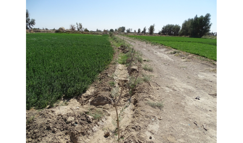 بازدید اعضاء هیئت علمی  دانشکده کشاورزی  دانشگاه بوعلی سینا همدان از ایستگاه معرف – زوجی گنبد