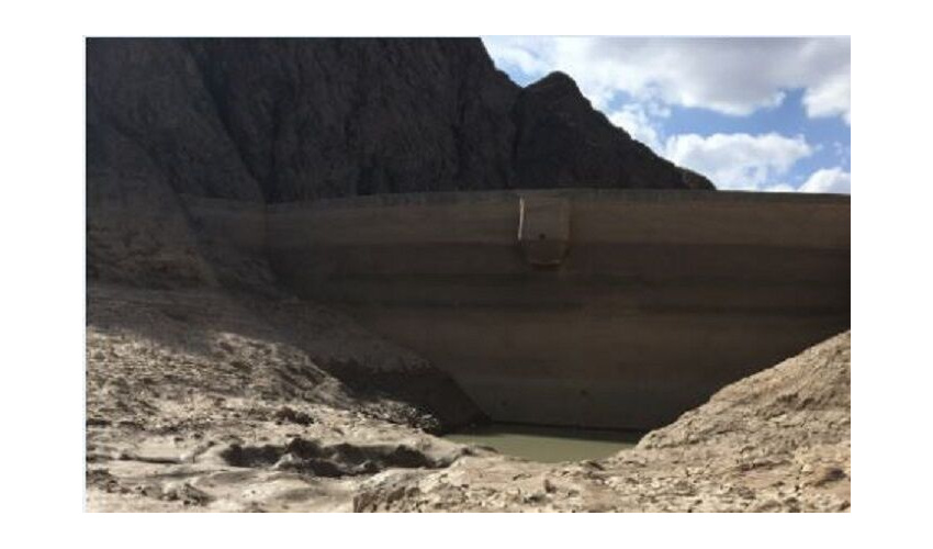 کشت 100هکتار برای جلوگیری از انقراض گونه دارویی موسیر در نهاوند 