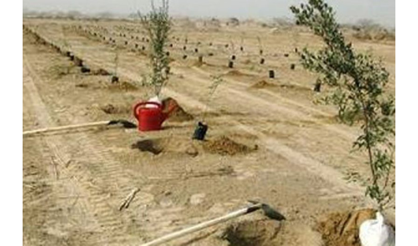 مراتع نقش مهمی در حفظ خاک و جلوگیری از فرسایش دارند