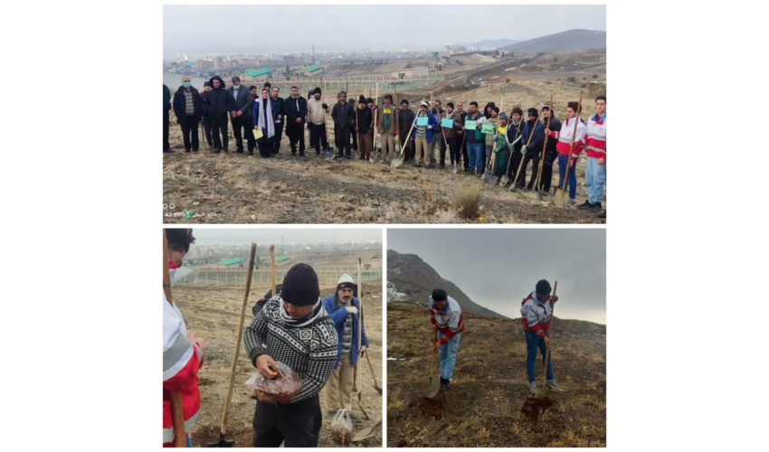پویش بذرکاری در سطح ۱۵ هکتار از اراضی بام  شهرستان ملایر