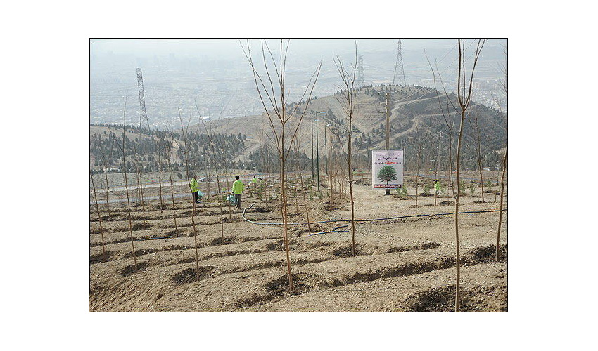 حضور فعال اداره کل منابع طبیعی و آبخیزداری استان همدان در نمایشگاه جامع کشاورزی ایران