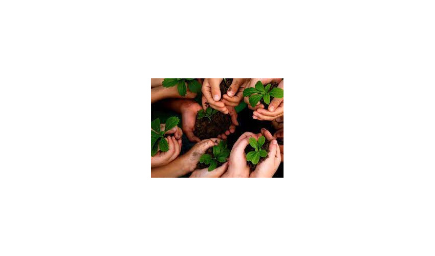 طرح مردمی تولید و کاشت یک میلیارد اصله نهال بامشارکت مردم در استان همدان اجرا خواهد شد