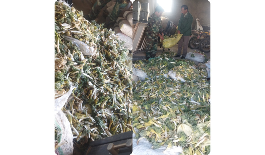 برگزاری جلسه هماهنگی هفته منابع طبیعی با سایر ادارات  در مدیریت جهاد کشاورزی شهرستان فامنین