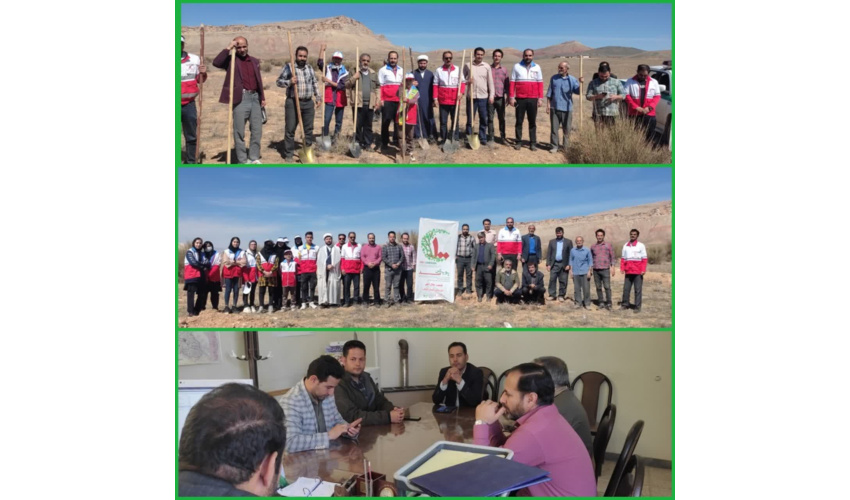 برگزاری مراسم پویش 100 و کاشت 200 نهال در کوه قلی آباد شهرستان کبودرآهنگ  