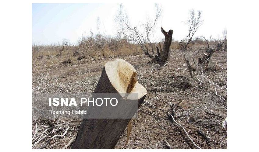 تقدیر از خیر شهرستان بهار مشارکت کننده در طرح مردمی کاشت یک میلیارد درخت