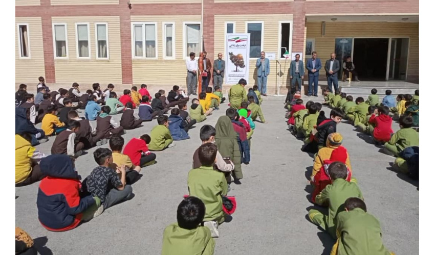 تولید 100 هزار نهال بصورت مشارکتی در شهرستان بهار