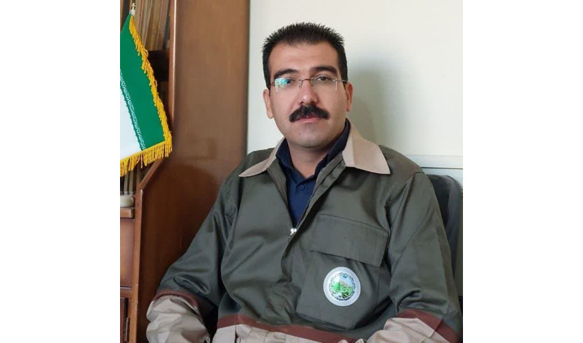 تولید 150 هزار اصله نهال در شهرستان نهاوند