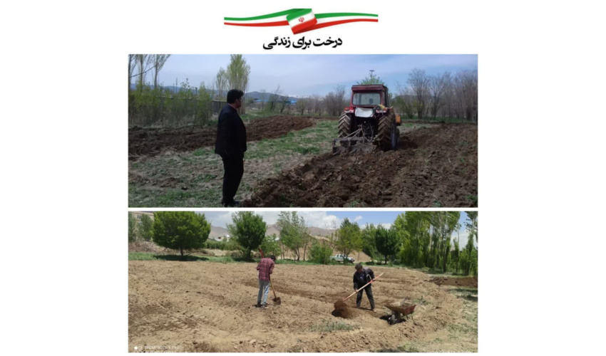 پروژه مشترک تولید نهال در نهالستان شهرداری ملایر با مشارکت شهرداری و اداره منابع طبیعی و آبخیزداری شهرستان ملایر 