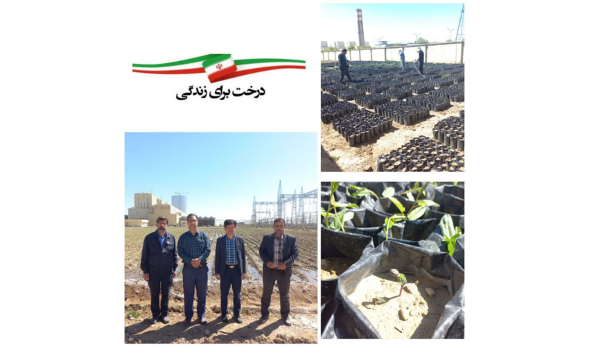   احداث  نهالستان ۵ هکتاری در نیروگاه شهید مفتح همدان