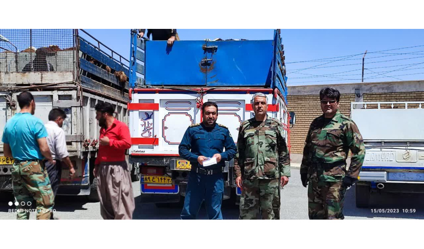 بازدید کارگروه تخصصی گیاهپزشکی از جنگل کاری بادام شیرین سو کبودراهنگ