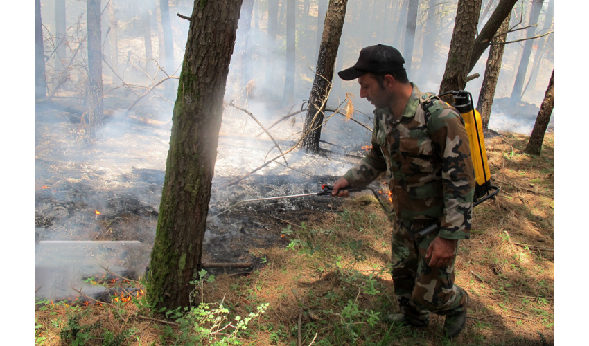 تشکیل کارگروه اجرایی طرح مردمی کاشت یک میلیارد درخت در فرمانداری کبودراهنگ