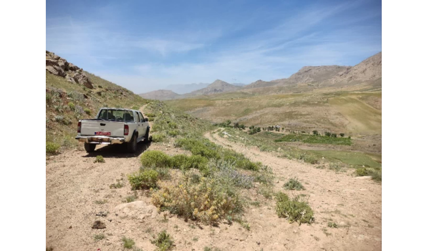 ایجاد آتش بر در منطقه جنگل‌کاری قلی آباد شهرستان کبودرآهنگ 