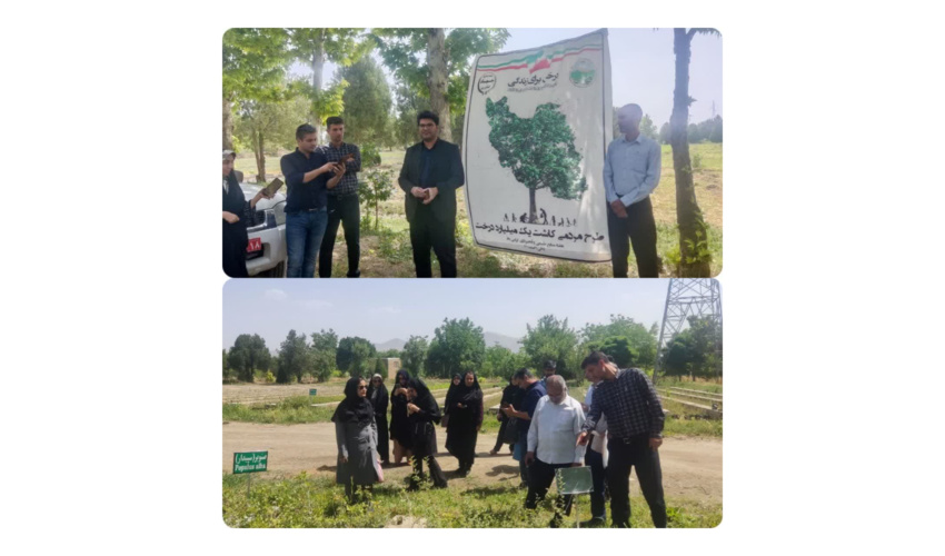 بازدید خبرنگاران و اصحاب رسانه از محل نهالستان قدس شهرستان ملایر