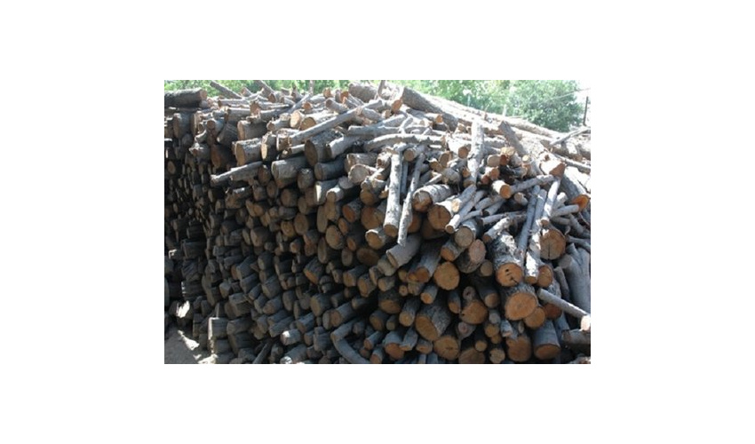 کشف 13 تن چوب قاچاق در شهرستان بهار 
