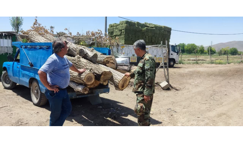 ایست و بازرسی قاچاق چوب در شهرستان ملایر 