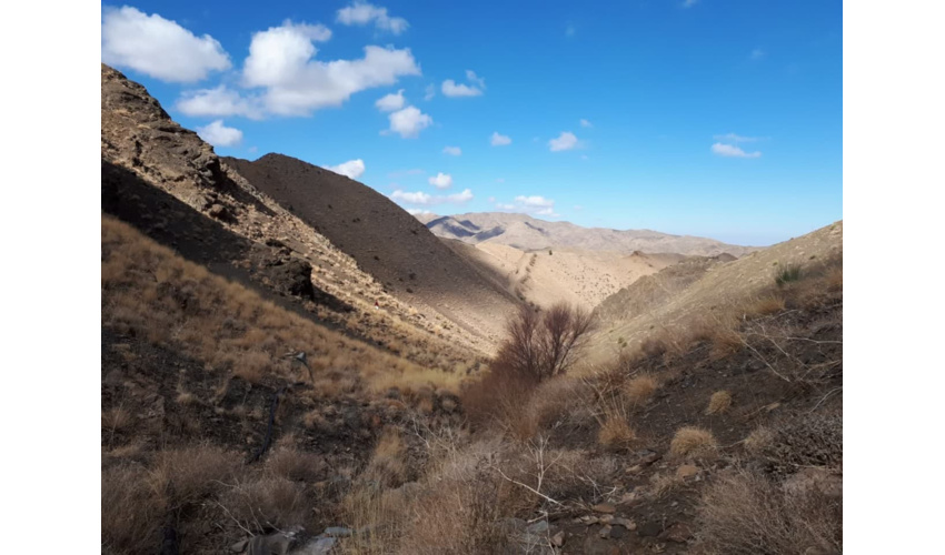 کارگاه آموزشی با محوریت صندوق های خرد اعتباری ویژه زنان روستایی در شهرستان فامنین برگرار گردید
