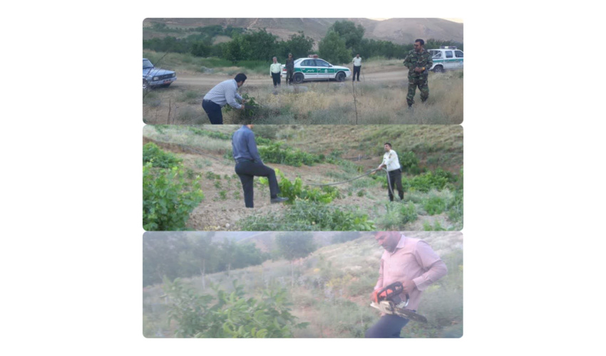 آزاد سازی اراضی ملی تصرفی در دامنه کوههای وهنان و حیدره قاضی خان