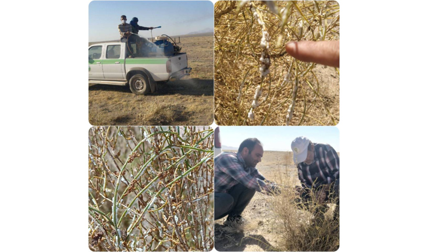 برگزاری کارگاه آموزشی پیشگیری و اطفاء حریق در عرصه های منابع طبیعی در شهرستان ملایر 