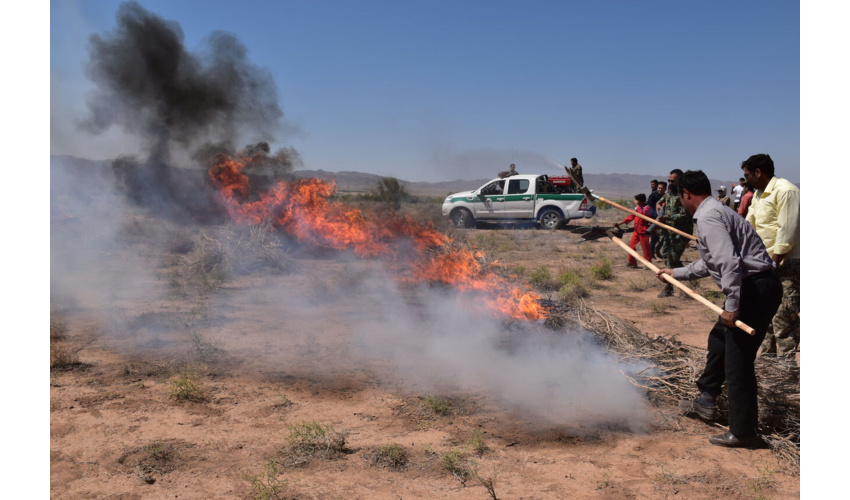 ۶۰ درصد عرصه های طبیعی همدان مستعد آتش سوزی است
