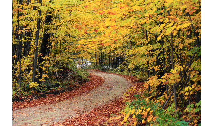  مهر دیدی که به برهم زدن چشم رسید؟!