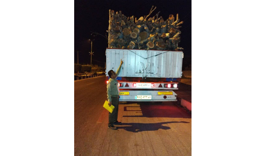 برگزاری دوره اموزشی نقش تشکلهای تخصصی منابع طبیعی در حفاظت از منابع طبیعی در شهرستان تویسرکان 