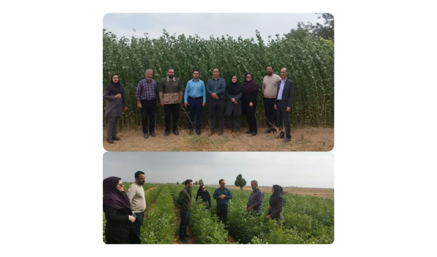 بازدید از نهالستان تولید نهال اداره كل منابع طبیعی و آبخیزداری  استان مرکزی در راستای طرح نهضت مردمی كاشت یك میلیارد نهال