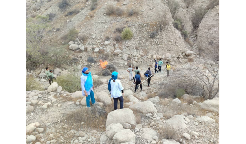 اجرای طرح جمع‌آوری بذر درختان زبان گنج کنجشک در شهرستان ملایر انجام شد 